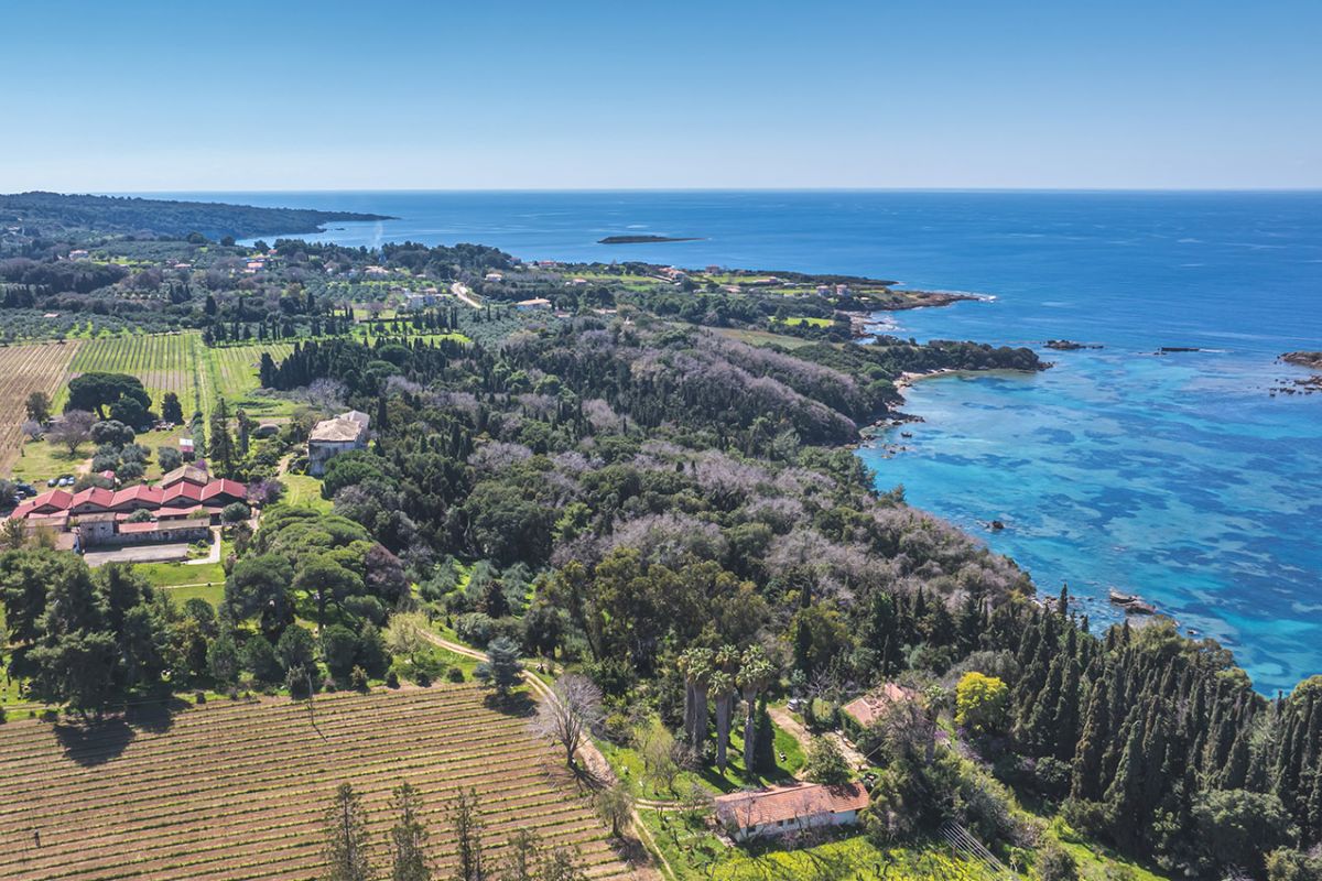 Tenuta Mercouri a Korakochori vicino Katakolon, cantina storica tra vigneti e uliveti