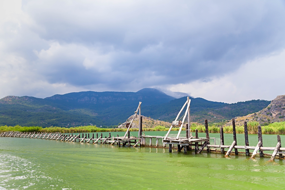 Fiume Dalyan vicino Marmaris con le tombe rupestri licie scavate nella roccia