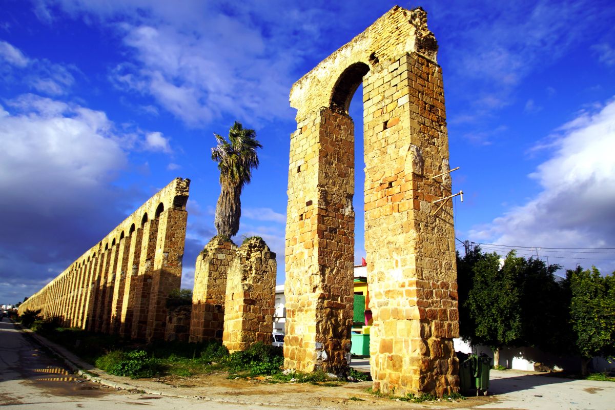 Museo del Bardo a Tunisi, collezione di mosaici romani
