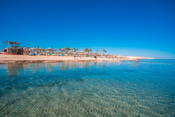 Offerta Last Minute - Esplora il Paradiso Marino all'Bravo Premium Gemma Beach Resort a Marsa Alam, Egitto - Offerta Imperdibile da Wow Viaggi - Offerta Bravo