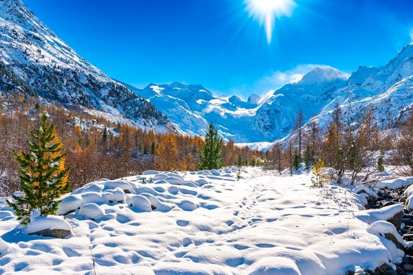 Offerta TH Samedan: Eleganza Ottocentesca e Sci nell'Engadina Svizzera